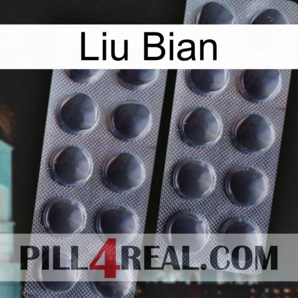 Liu Bian 31.jpg